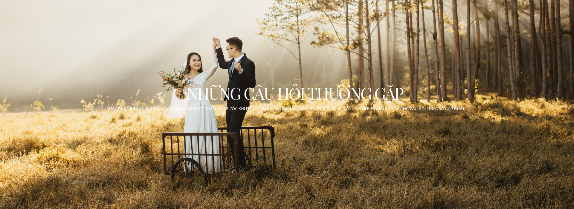 bia trang chu High Studio